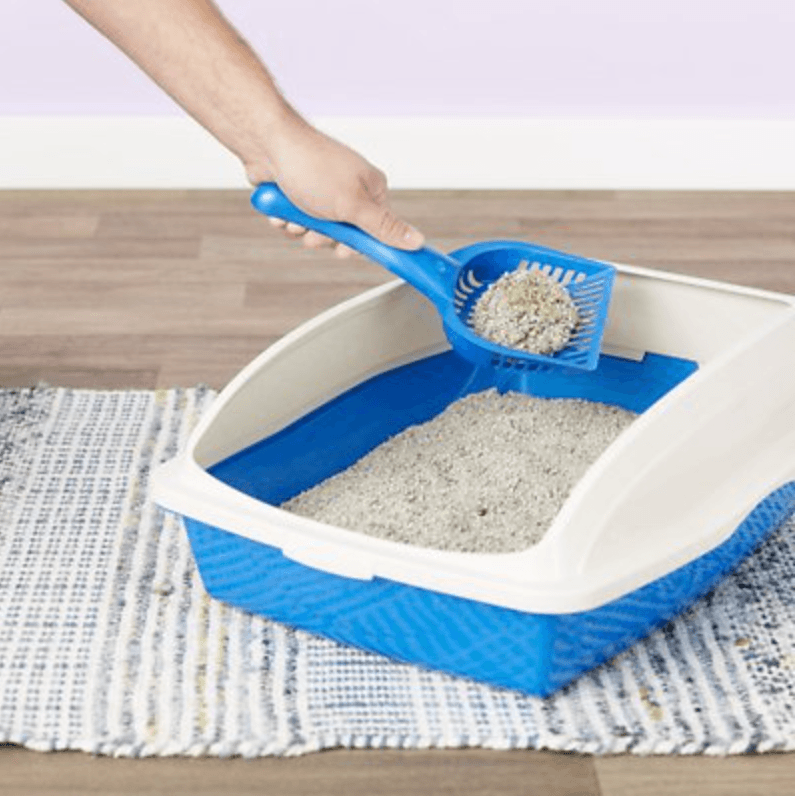 Premium Cat Litter Classic - Unscented