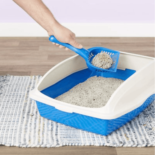 Premium Cat Litter Classic - Unscented