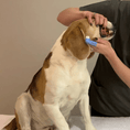 Load image into Gallery viewer, Finger Toothbrush