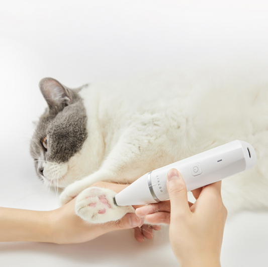 2 in 1 Electric Pet Waterproof Hair Trimmer
