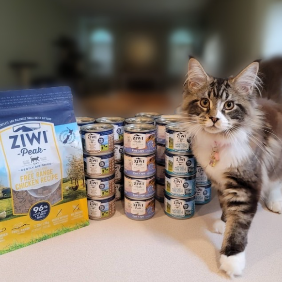 Close-up of Ziwi Peak Wet Mackerel Recipe for Cats – Emphasizing the high fish content and texture.