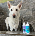 تحميل الصورة في عارض المعرض, Earthbath Coat Brightening Shampoo – Lavender