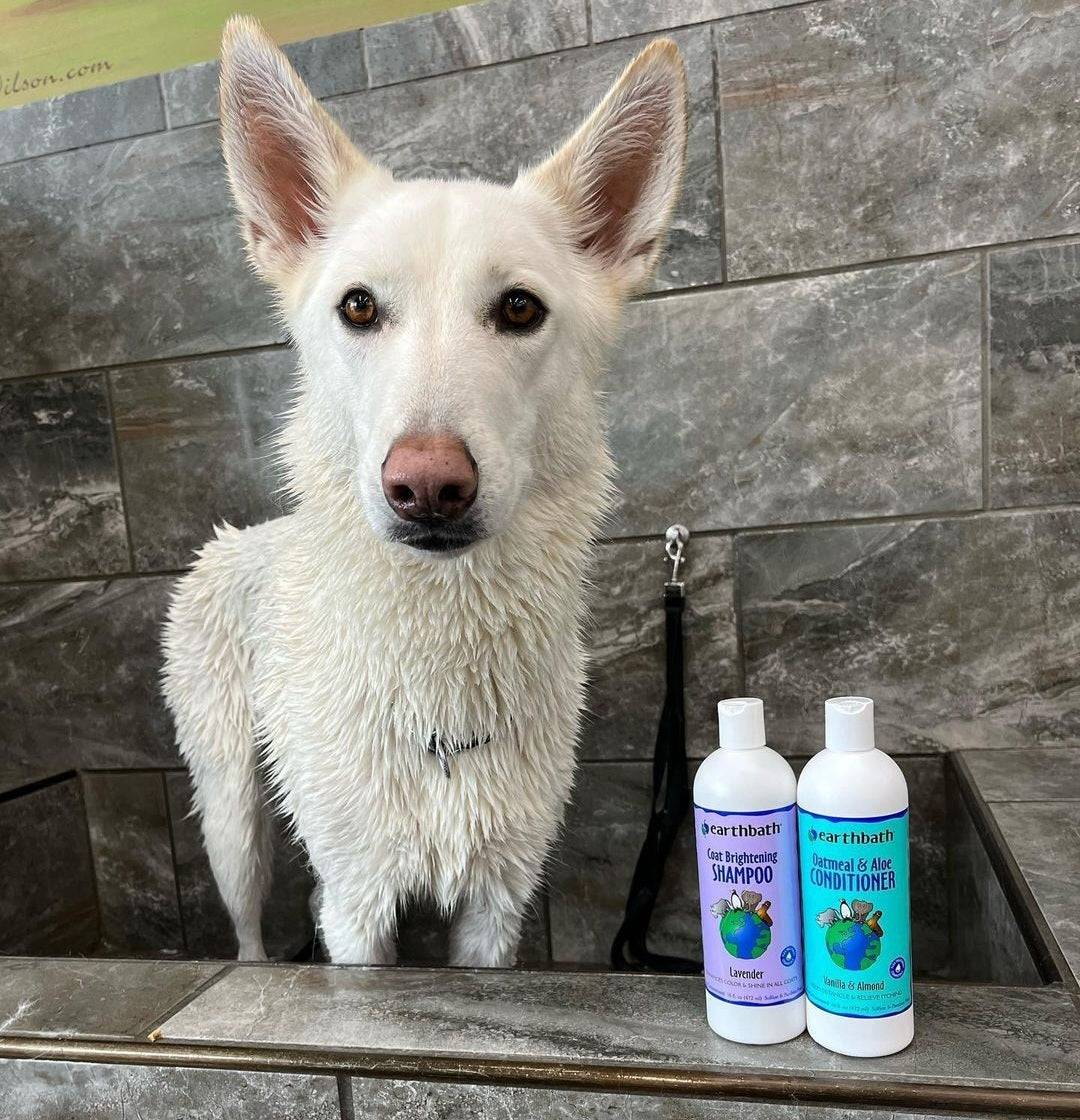 Earthbath Coat Brightening Shampoo – Lavender