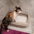 Load image into Gallery viewer, NESTA CLASSIC LITTER TRAY