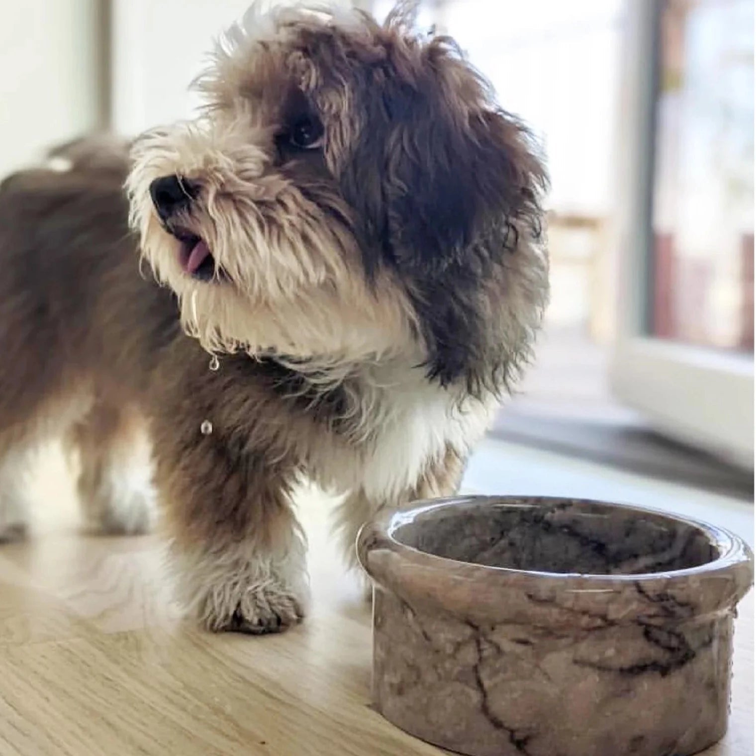 Marbowl Feeding Bowl