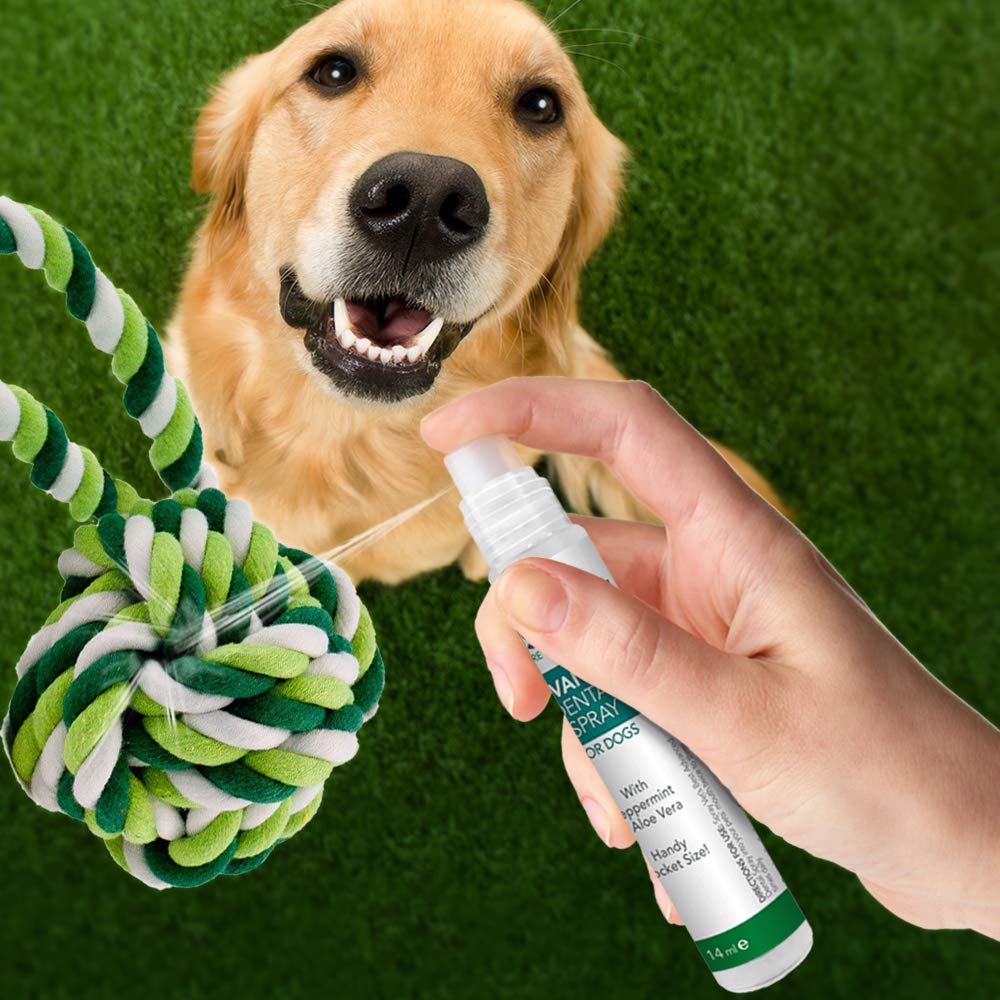 Natural Dental Spray & Floss Ball