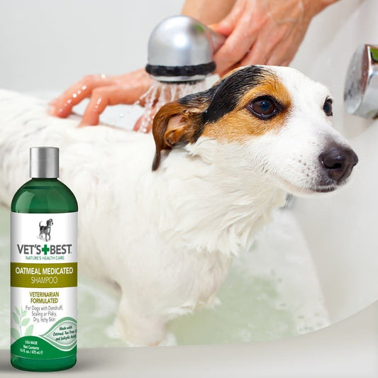 Oatmeal Medicated Shampoo