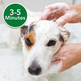 Load image into Gallery viewer, Oatmeal Medicated Shampoo