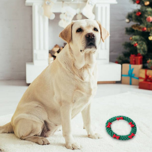 Holiday Circle Rope Braid Chew Toys for Dogs