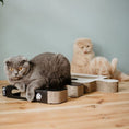 Load image into Gallery viewer, Puzzle Cardboard Cat Scratch Toy