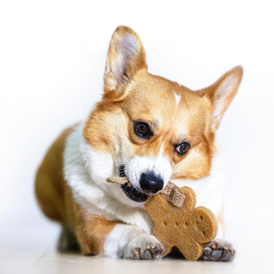 Gum Gum Dog Chew Toy (Ginger Bread Man)