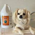 Load image into Gallery viewer, Earthbath Oatmeal & Aloe Shampoo - Vanilla & Almond