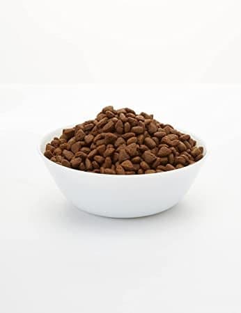 وصفة الدجاج طعام جاف للكلاب