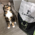 تحميل الصورة في عارض المعرض, Cat Enjoying Canagan Free Range Chicken For Cats