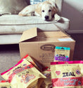 تحميل الصورة في عارض المعرض, Dog enjoying ZEAL hoki fish skins treats