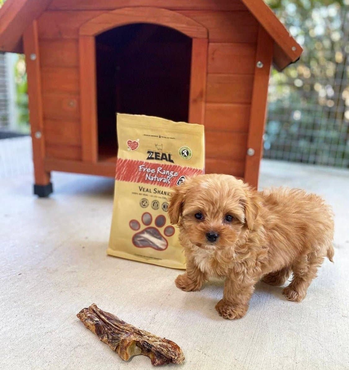 Zeal Veal Shanks Treats for Dogs
