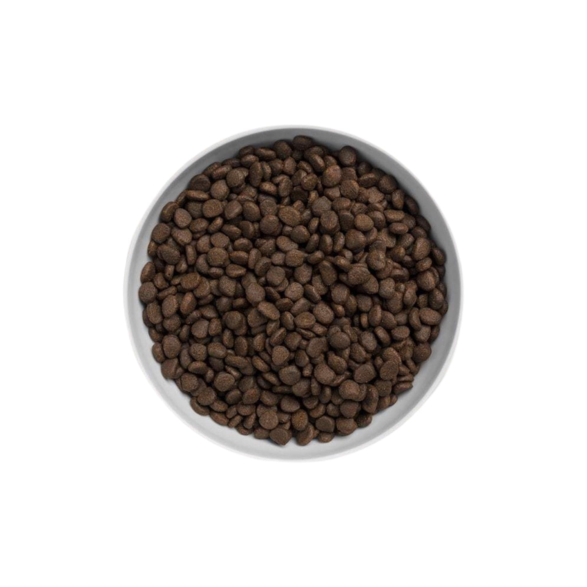 Canagan Scottish Salmon For Cats