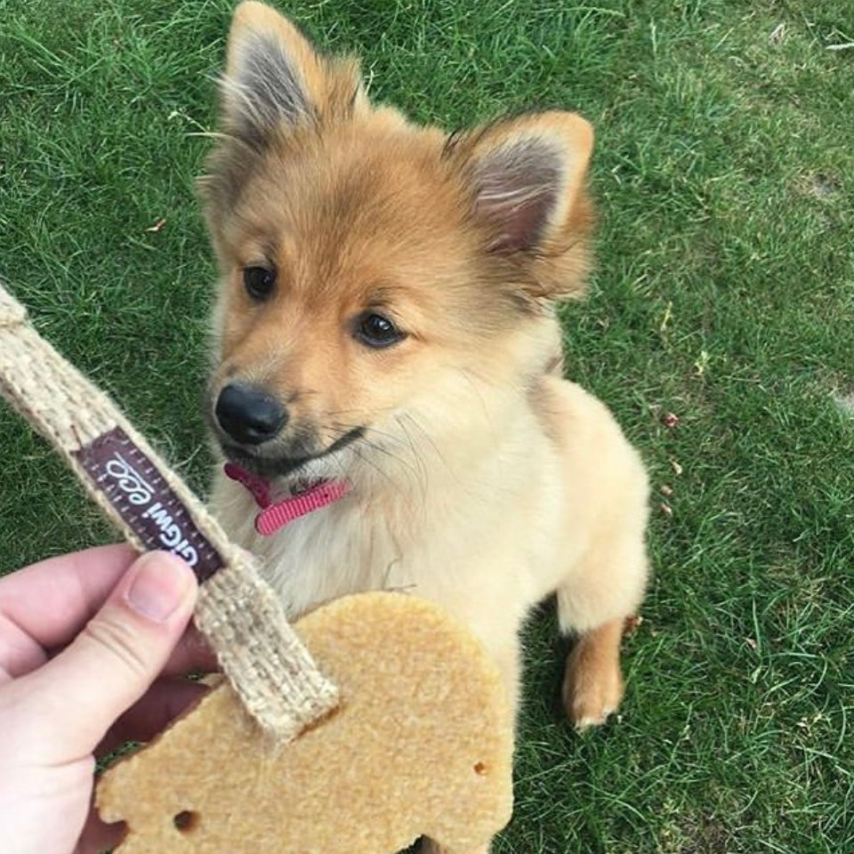 Gum Gum Dog Chew Toy (Elephant)
