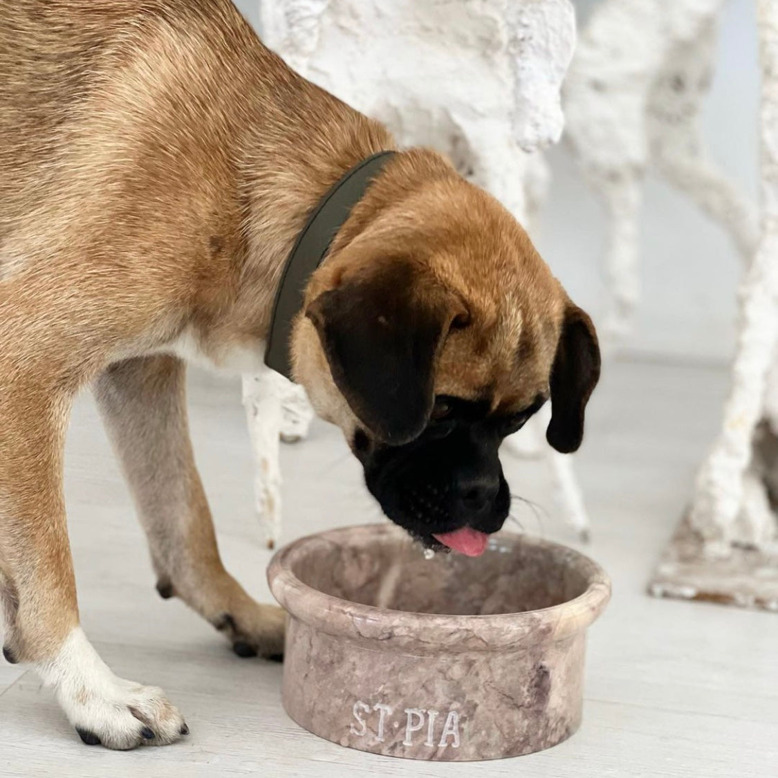 Marbowl Feeding Bowl