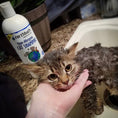 تحميل الصورة في عارض المعرض, Earthbath Hypo-Allergenic Cat Shampoo