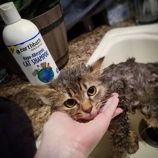 Earthbath Hypo-Allergenic Cat Shampoo