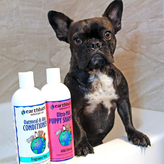 Earthbath Oatmeal & Aloe Conditioner