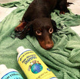 Load image into Gallery viewer, Earthbath Hypo-Allergenic Shampoo