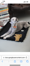 Load image into Gallery viewer, Charcoal Blanket With Fluff