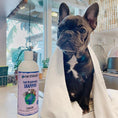 تحميل الصورة في عارض المعرض, Earthbath Coat Brightening Shampoo - Lavender