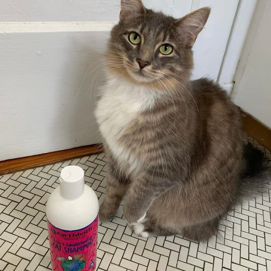 Earthbath 2-in-1 Conditioning Cat Shampoo - Light Wild Cherry