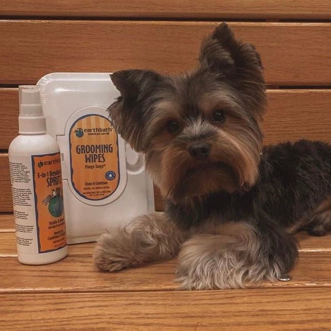 Earthbath Grooming Wipes - Mango Tango