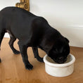 Load image into Gallery viewer, Marbowl Feeding Bowl
