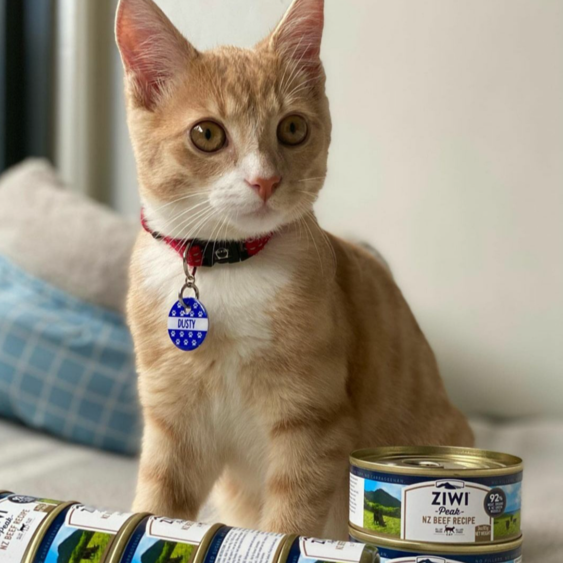 ZiwiPeak Wet Beef Recipe for Cats, made with 92% grass-fed, free-range beef and organs, enriched with New Zealand green mussels for optimal feline nutrition.