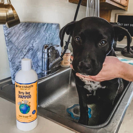 Earthbath Dirty Dog Shampoo - Sweet Orange Oil