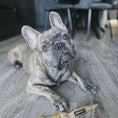 Load image into Gallery viewer, Gum Gum Dog Chew Toy (Elephant)
