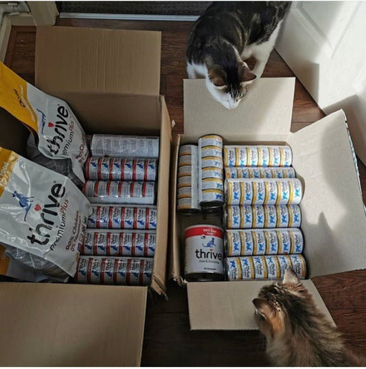 Premium Plus Chicken Dry Food (Exp:30 November 2025)