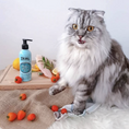 Load image into Gallery viewer, "Benefits of Omega-3 fatty acids for pets"
