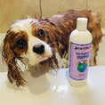 تحميل الصورة في عارض المعرض, Earthbath Coat Brightening Shampoo - Lavender