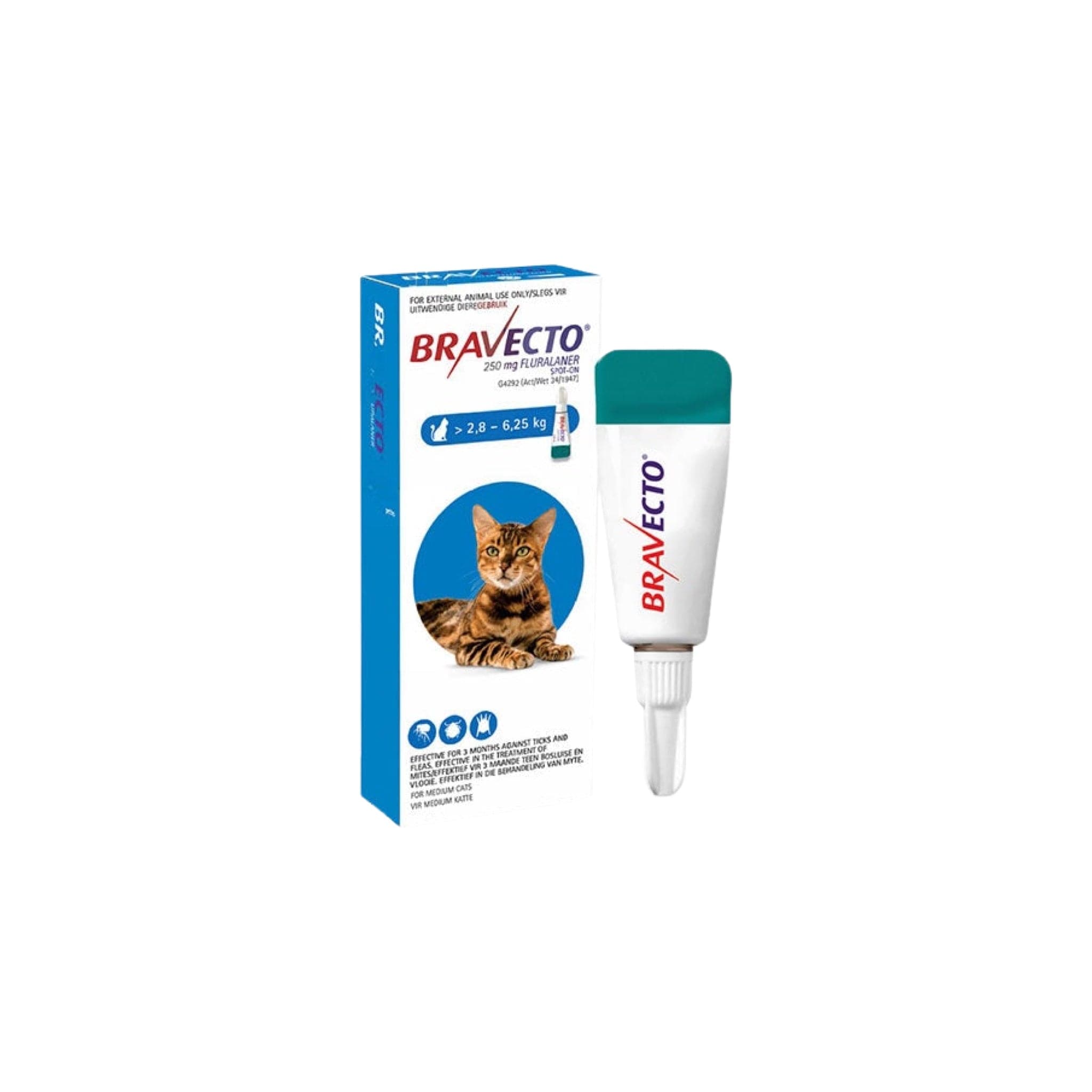 Bravecto spot on 2024 cat 250 mg