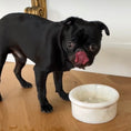 Load image into Gallery viewer, Marbowl Feeding Bowl