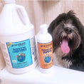 Load image into Gallery viewer, Earthbath Oatmeal & Aloe Conditioner  – Vanilla & Almond