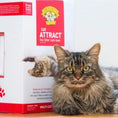 Load image into Gallery viewer, Precious 99% Dust Free Hard Clumping Cat Attract