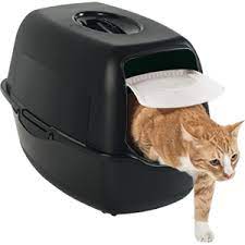LEXIE BLACK CAT TOILET
