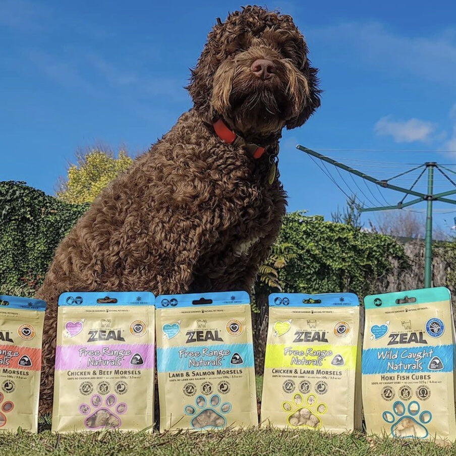 Zeal Freeze Dried Chicken & Lamb Morsels pet treats in a resealable pouch."