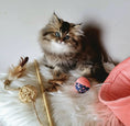Load image into Gallery viewer, Ethicat Cat Toy Ball Rod