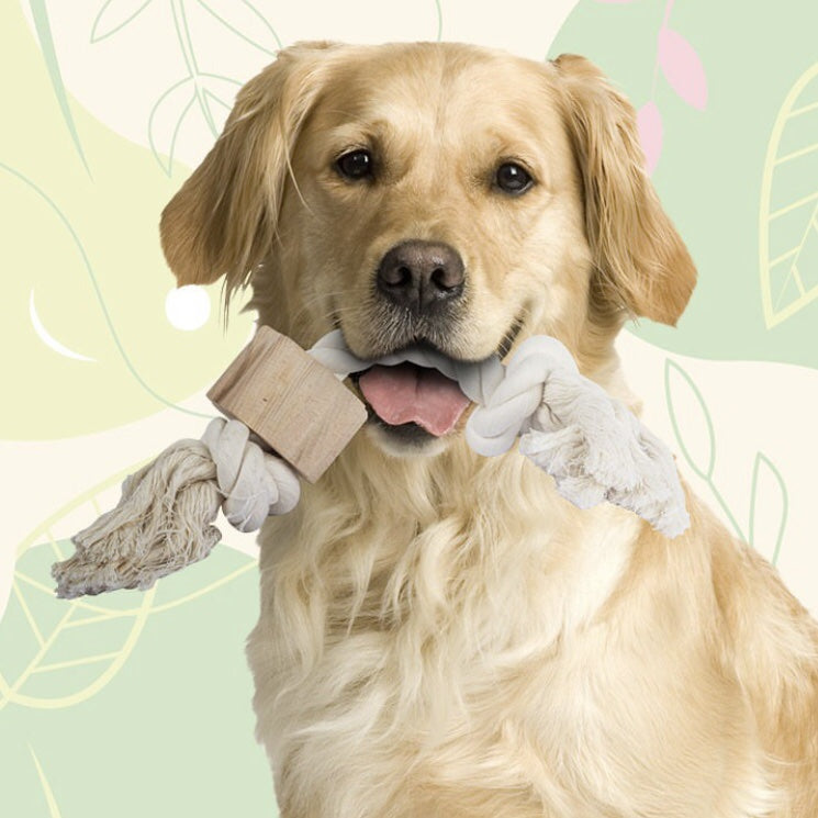 Zolux Wild Twisted Rope Toy