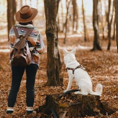 Oxford Dog Travel Bag