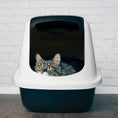 Load image into Gallery viewer, LOKI CLASSIC CAT TOILET