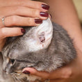 Load image into Gallery viewer, OTOSTAN Treatment for Ear Mites