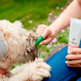 Load image into Gallery viewer, Dental Care Kit For Puppies